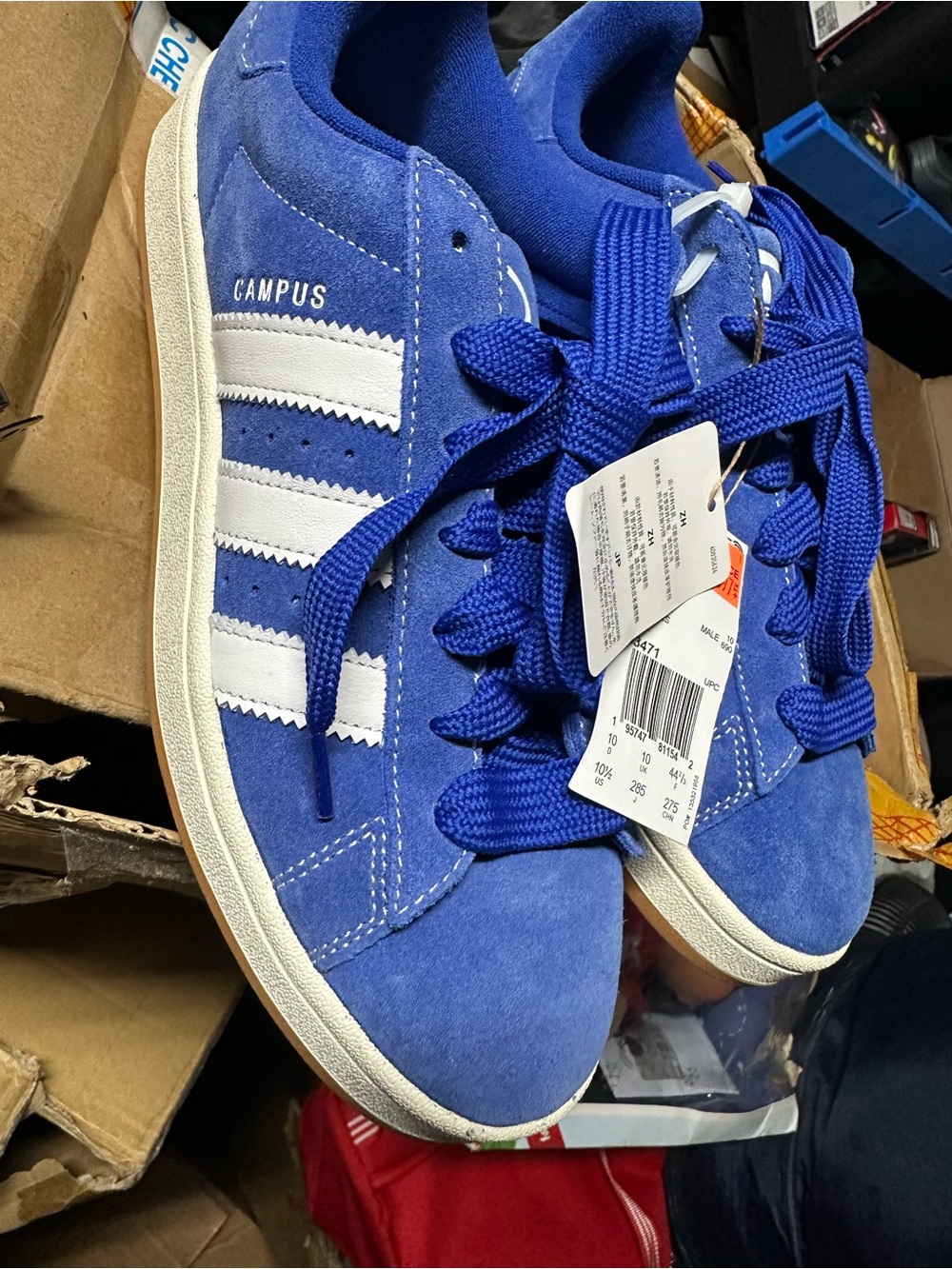 adidas Campus Suede Sneakers in Blue and White